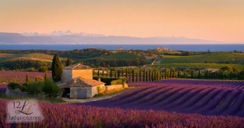 ทำความรู้จักกับ "La Douce France": มนต์เสน่ห์แห่งการใช้ชีวิตแบบฝรั่งเศสที่ทั่วโลกหลงรัก